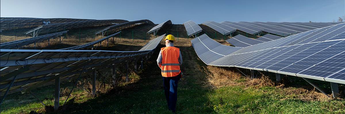 solar-panels-bkk